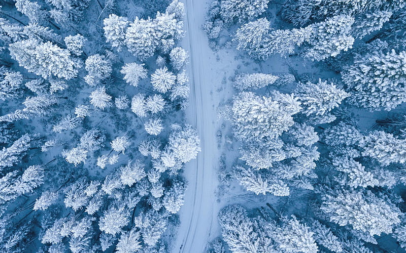 winter, forest, snow, road in the forest, aerial view, forest view from above, snow covered trees, HD wallpaper