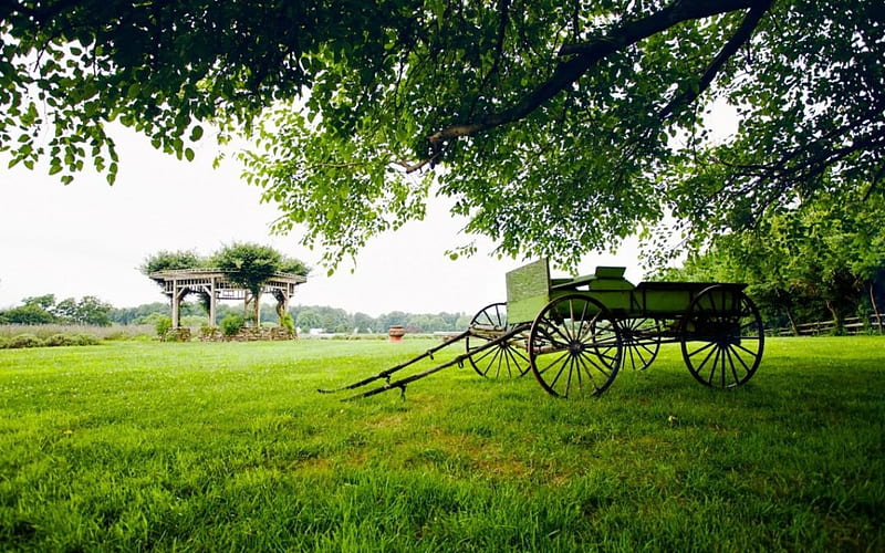 Greenery, grass, park, country, tree, green, landscapes, pavilion, old carriage, nature, dray, scenery, HD wallpaper