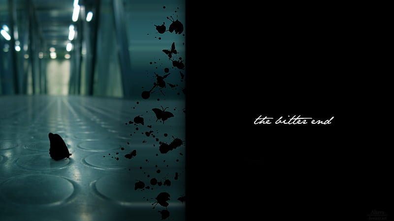 The Bitter End, black, butterfly, bitter, dark, HD wallpaper