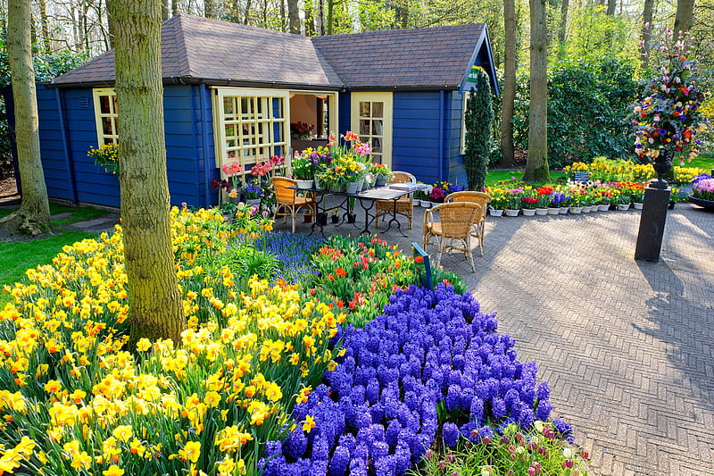 Spring garden, Holland, garden, Keukenhof, spring, freshness, Netherland, pretty, colorful, house, park, bonito, HD wallpaper