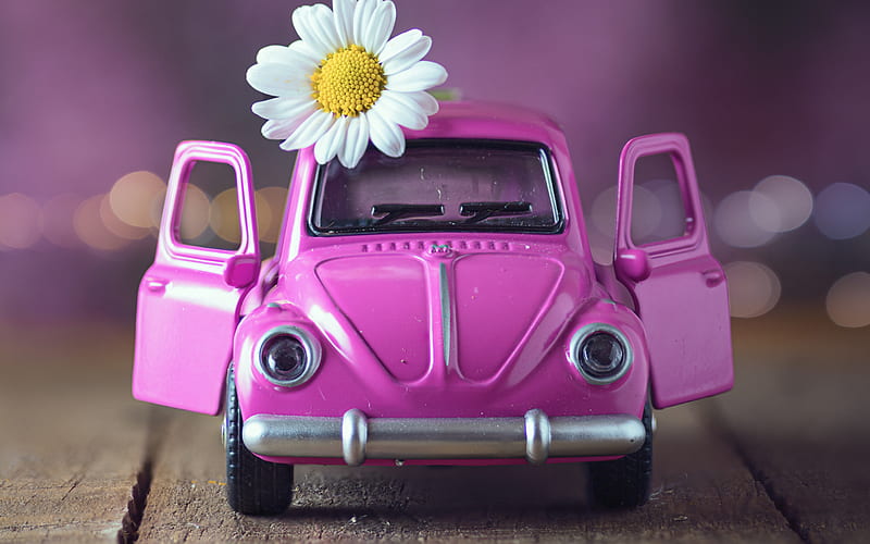 travel concepts, pink Volkswagen Beetle, pink toy car, travel, chamomile, tourism concepts, HD wallpaper