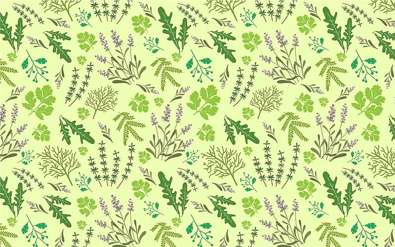 Herbal Pattern, pattern, green, herbal, vector, HD wallpaper