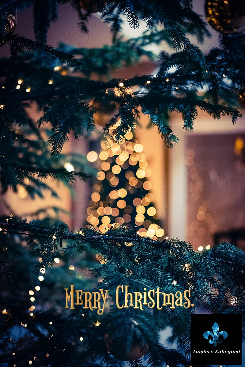 Merry Christmas, 25 dec, christmas, festival, giving season, winter, HD ...