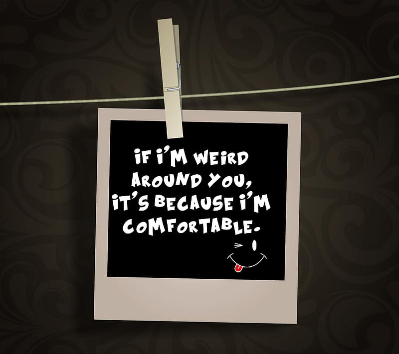 comfortable, cool, life, live, new, quote, saying, sign, weird, HD wallpaper
