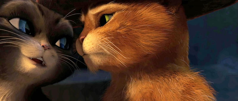 Puss in Boots (2011), DreamWorks Animation, orange, black, cat, Puss in Boots, animal, hat, fantasy, Kitty Softpaws, love, blue eyes, couple, HD wallpaper