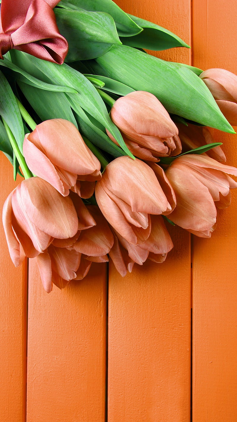tulips, wood, wooden, leaves, orange, nature, flowers, tulip, HD phone wallpaper
