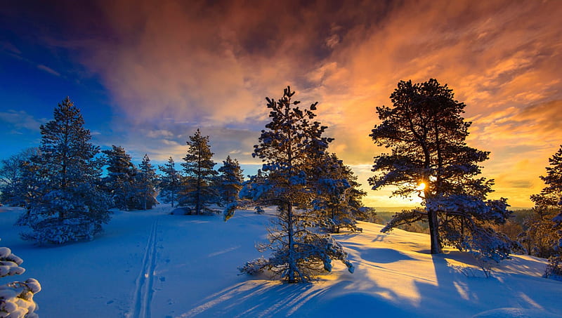 Winter Evening, sun, snow, shadows, trees, clouds, sky, landscape, HD wallpaper