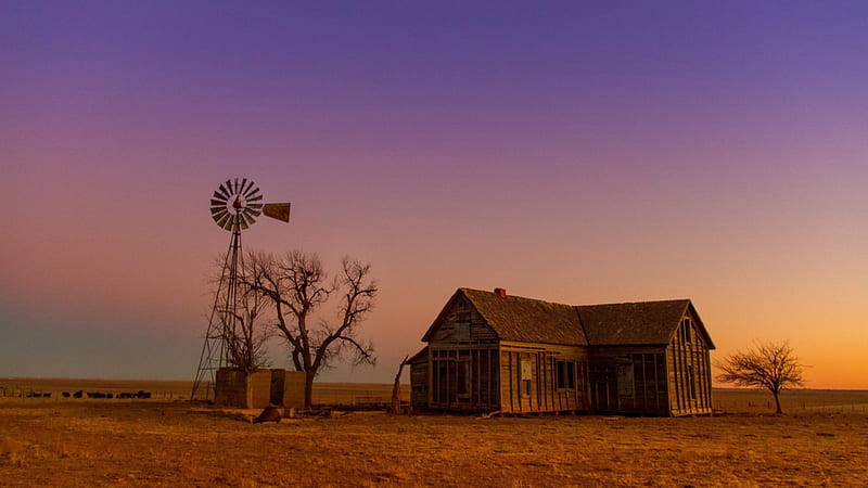 farmhouse on the prairie, farm, windmill, house, pens, prairie, dusk, HD wallpaper