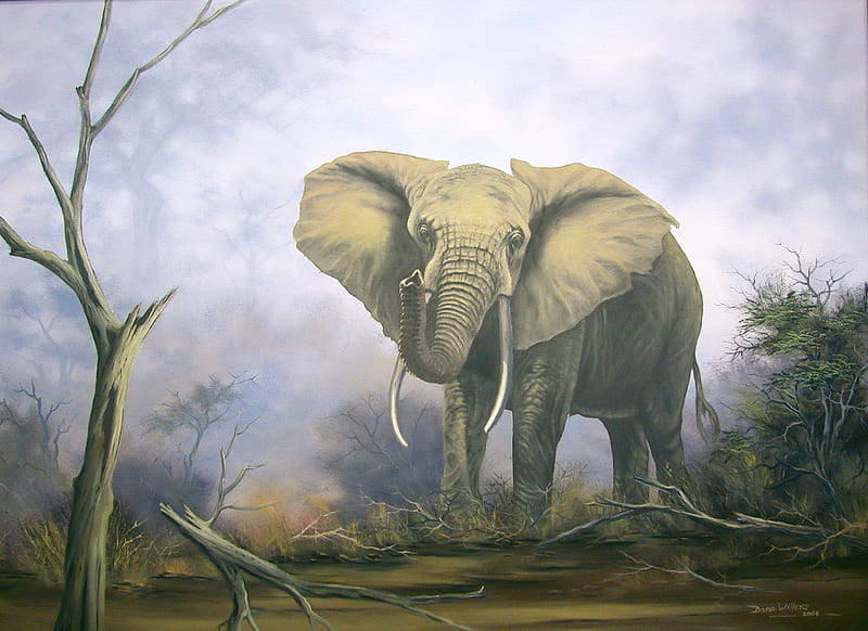 Bull Elephant, rut, dangerous, huge, tusk, africa, HD wallpaper
