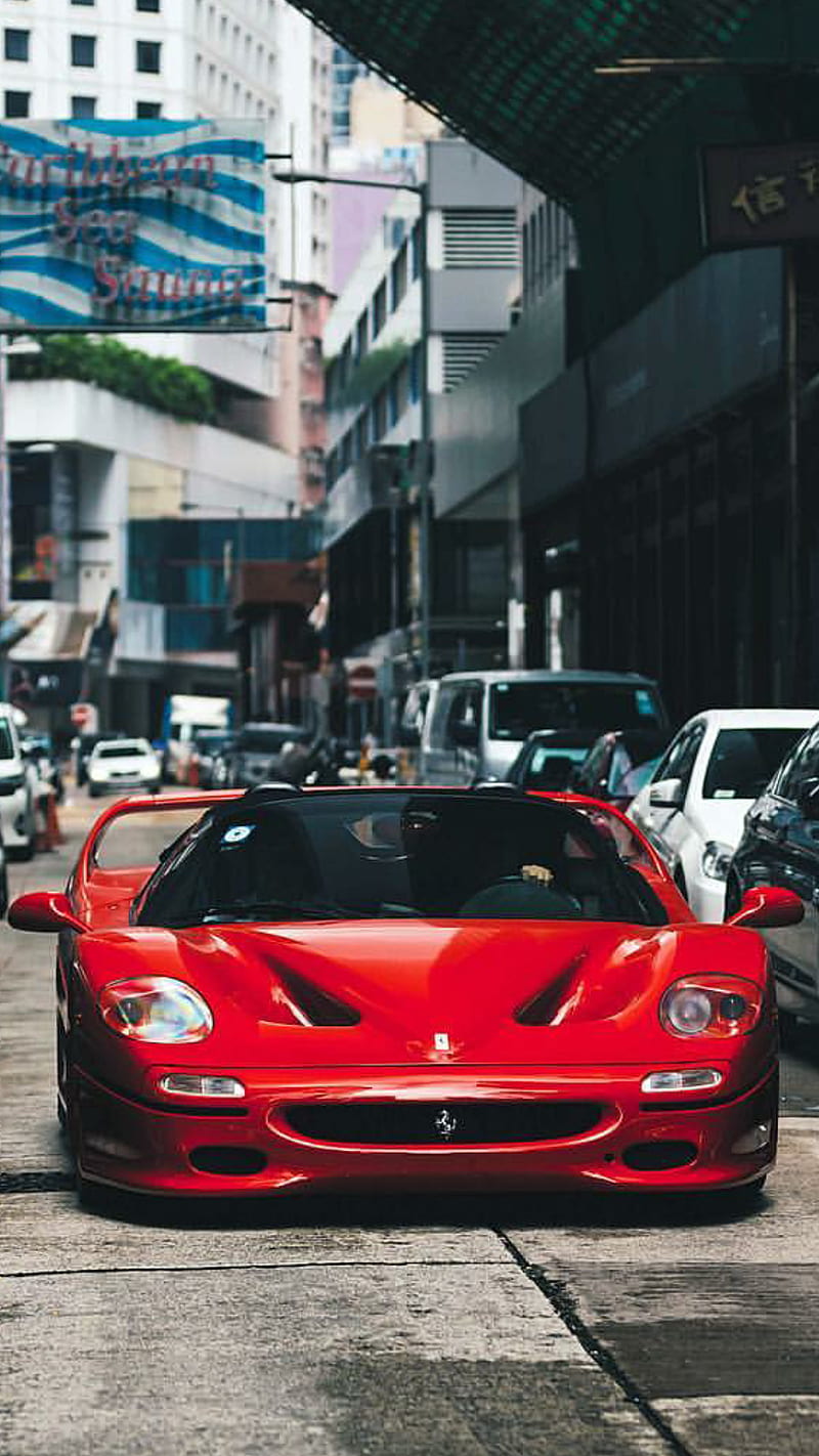 Ferrari F50, ferrari, f50, red, car, hypercar, supercar, sports, america, classic, HD phone wallpaper