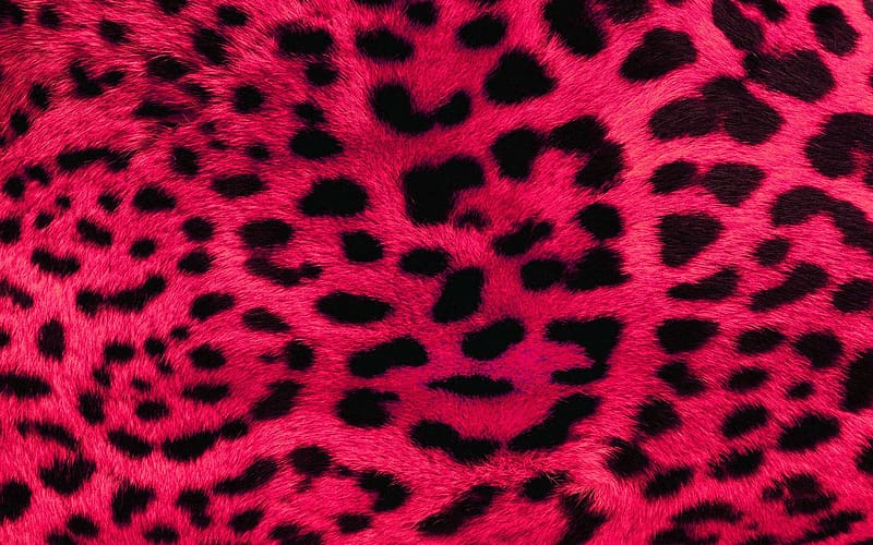 Pink Leopard Print Fur, Leopard Skin, HD wallpaper
