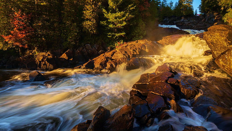 Oxtongue River Ragged Falls, Ontario, cascades, rocks, water, canada, trees, HD wallpaper