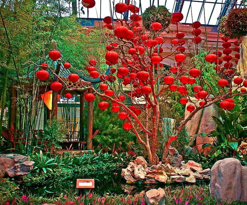 Lanterns, red, lantern, chinese new year, oriental garden, landscape, HD wallpaper
