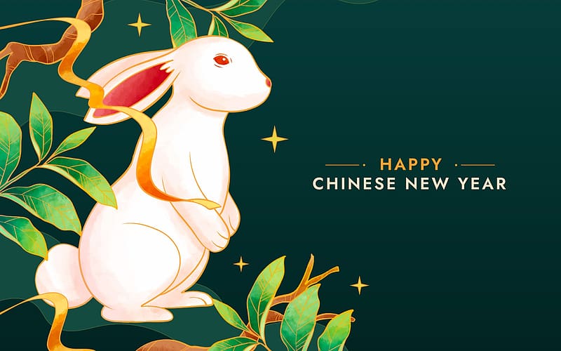 Year of the Rabbit, chinese zodiac, green, bunny, card, new year, HD  wallpaper | Peakpx