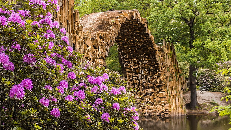 Parque de azaleas y rododendros, alemania, bonito, parque, lago, puente,  rododendro, Fondo de pantalla HD | Peakpx