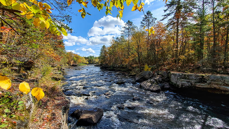 Banning State Park, Minnesota, fall, stones, creek, trees, colors, HD wallpaper