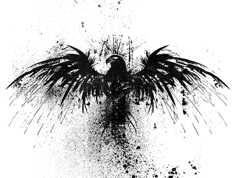 black hawk illustration #black #white #Gladius P # # #. Smile illustration, White background, Red artwork, Black Hawk Bird, HD wallpaper