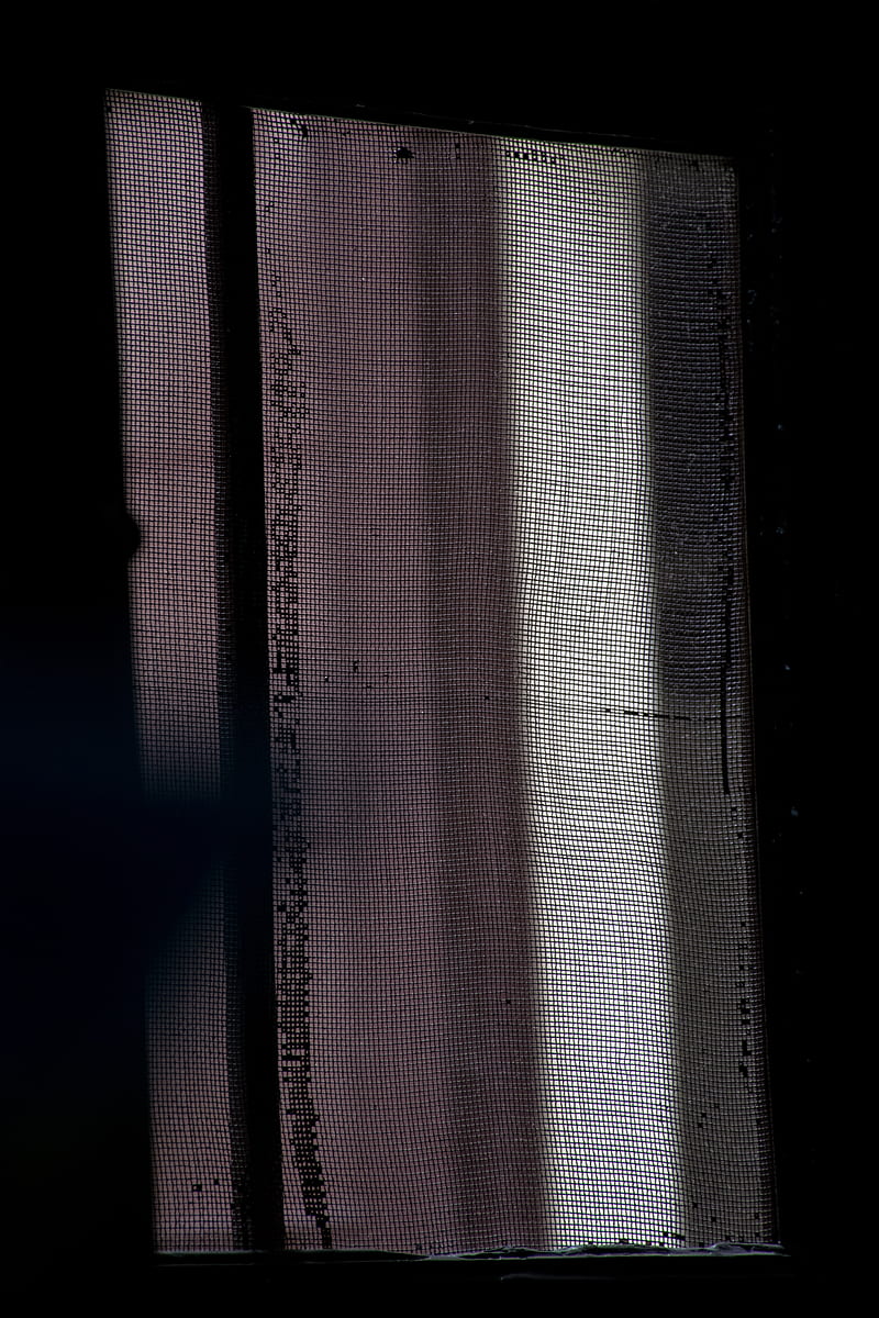 window, net, dark, twilight, HD phone wallpaper