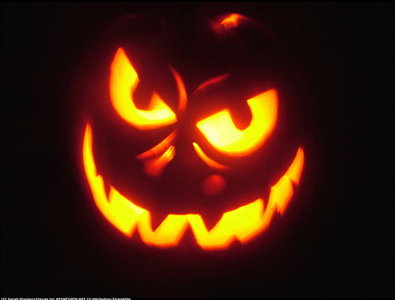 Glow scary pumpkin face, face orange, autumn, fantasy, halloween, scary ...