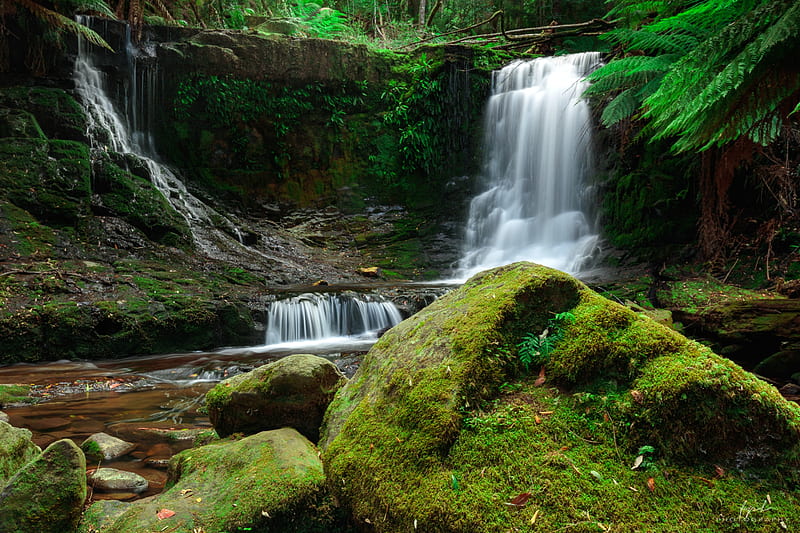 Horseshoe Falls, Mt. Field Nat'l. Park, Tasmania, tasmania, waterfall, nature, park, HD wallpaper