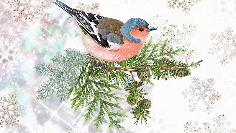 Winter Finch, snow, bird, bull finch, fir, cedar, finch, snow flakes, winter, Firefox theme, HD wallpaper