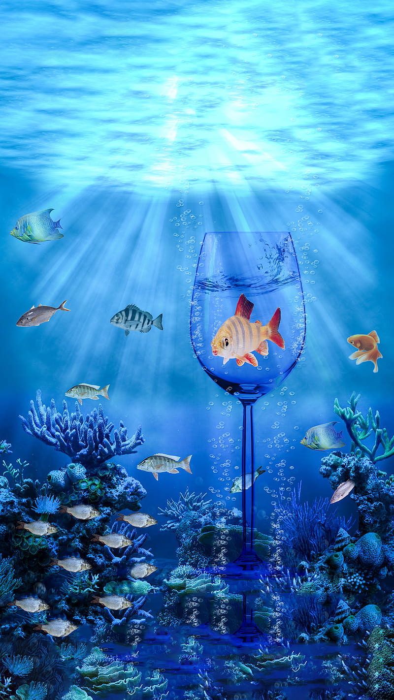 Fantasy, blue, cup, fish, glass, ocean, sunrays, water, HD phone wallpaper