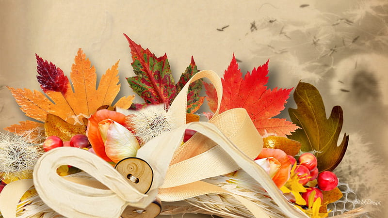Fall Surprises, fall, autumn, mountain ash berries, grass, maple, rose, ribbon, button, leaves, dandelion, dry, oak, fluff, natural, HD wallpaper