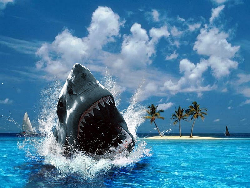 JAWS, shark, creative, ship, palm trees, HD wallpaper