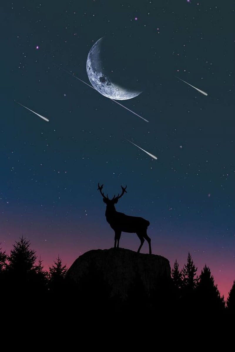Wild night, deer, elk, buck, moon, shooting stars, sunset, nightfall, forest, silhouette, HD phone wallpaper