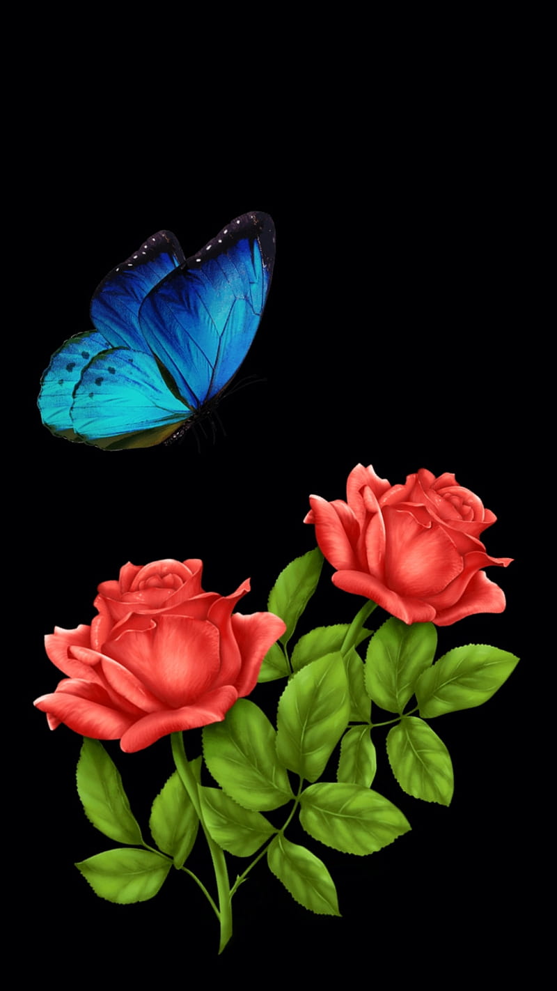 Pollination, butterfly, flowers, flying, garden, pollen, red, roses, HD phone wallpaper