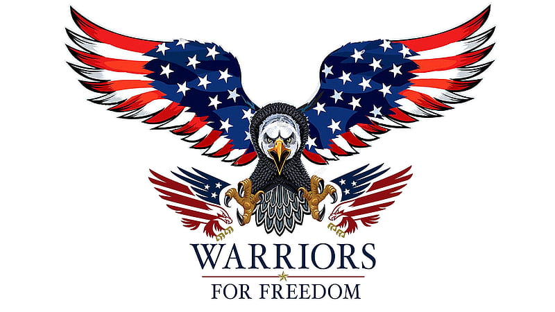 Take A Stand, America, dom, guerra, Eagle, HD wallpaper