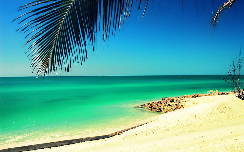 Siesta Key, Sarasota, ocean coast, summer, beach, palm trees, seascape, Florida, USA, HD wallpaper