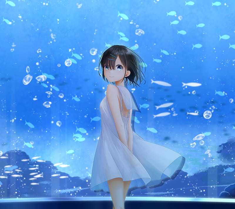 anime aquarium decor｜TikTok Search