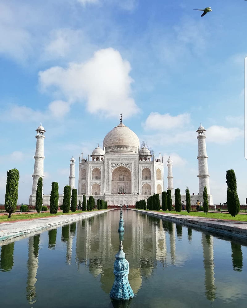 Taj Mahal, india, HD phone wallpaper