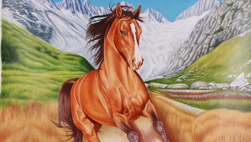 Brown Horse, brown horses, herd, ponies, nature, animals, HD wallpaper
