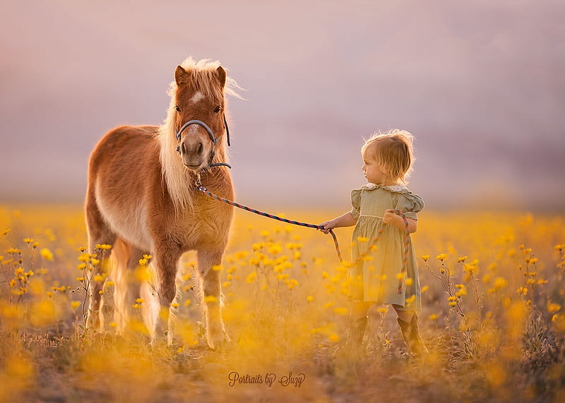 Little girl with pony, little, yellow, horse, cute, girl, suzy mead, summer, pony, copil, child, field, HD wallpaper