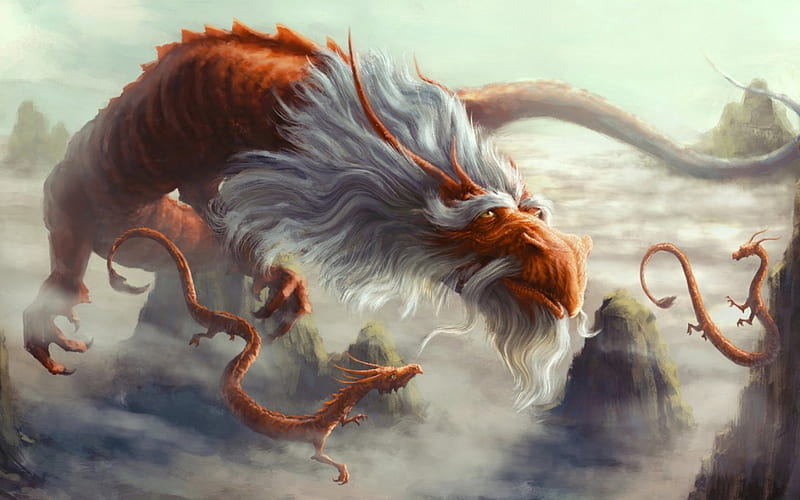 Dragons, art, fantasy, orange, white, dragon, HD wallpaper | Peakpx