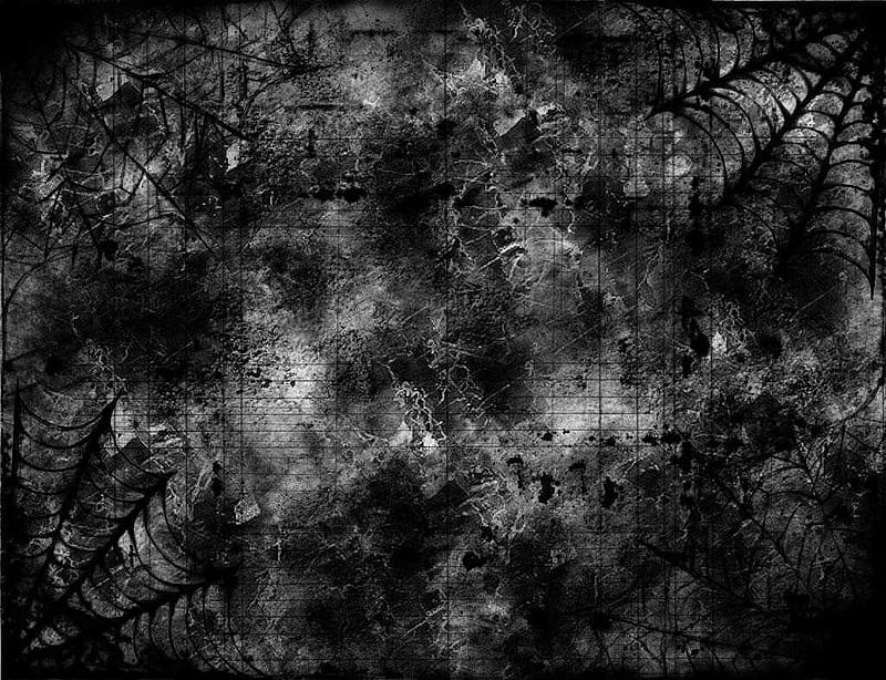 Alone and Sad, gothic, web, dark, black and white, sad, abstract, spider web, HD wallpaper