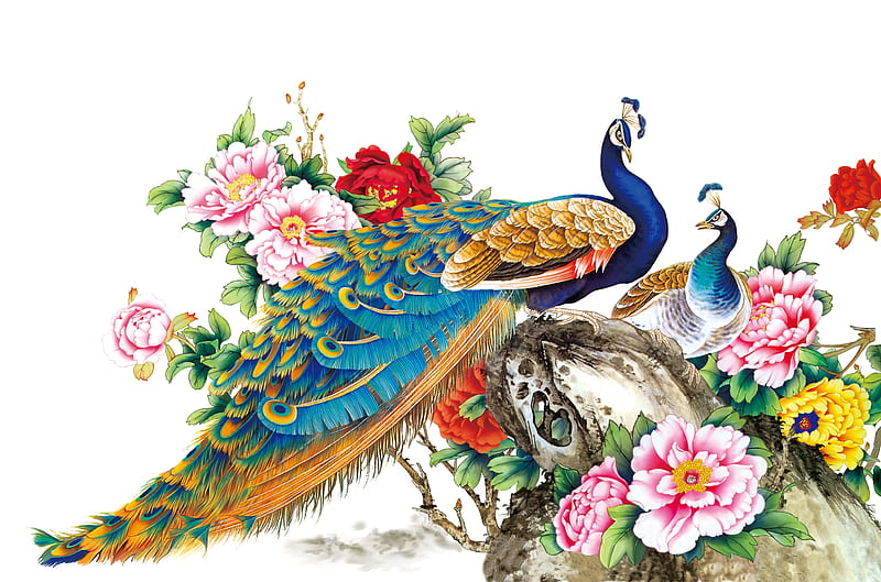 Peacocks, pink, art, peacock, bujor, peony, green, bird, feather, paun, pasari, painting, flower, blue, HD wallpaper