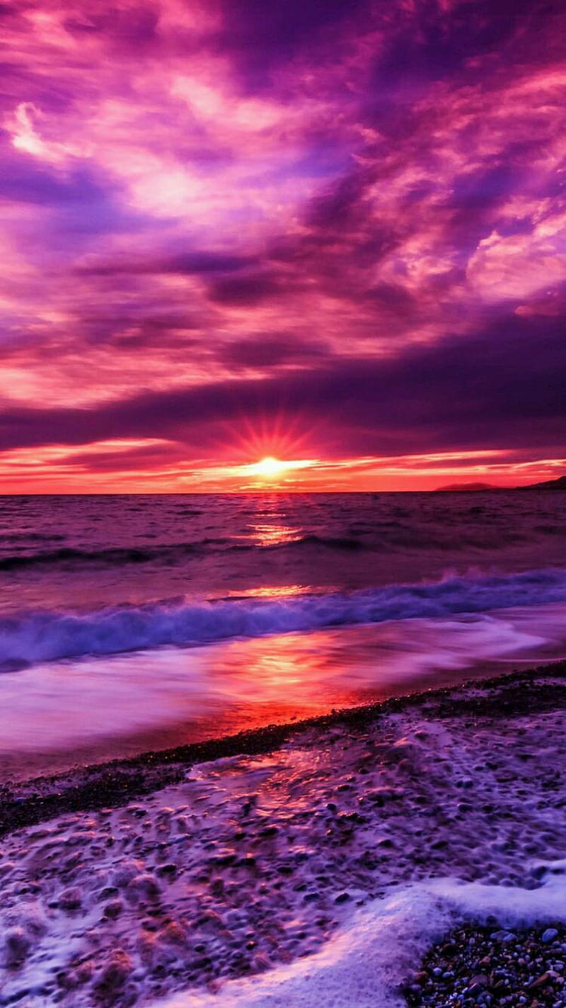 Sunset, beach, purple, HD phone wallpaper