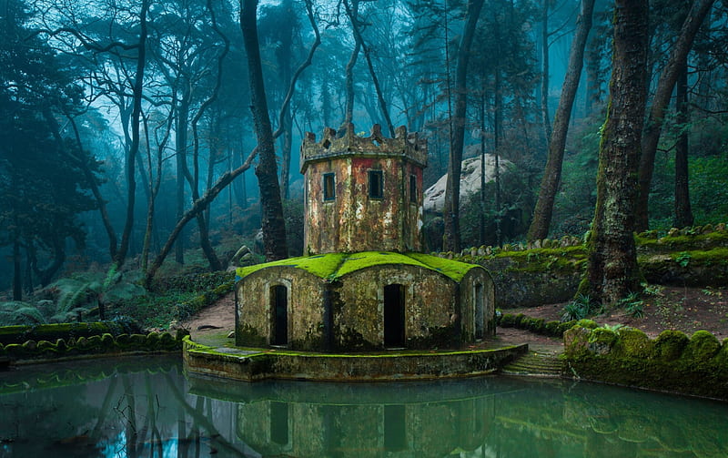 Forest Pond in Sintra, pond, forest trees, Sintra, Portugal, nature, landscape, mist, HD wallpaper