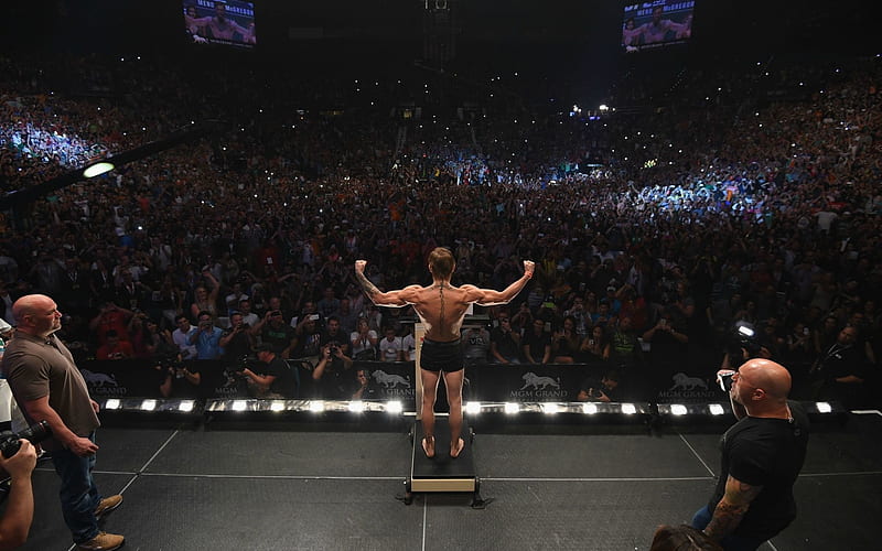 Conor McGregor, Sport, Irish, American, UFC, BJJ, Champion, Mixed Martial Arts, MMA, Fighter, HD wallpaper