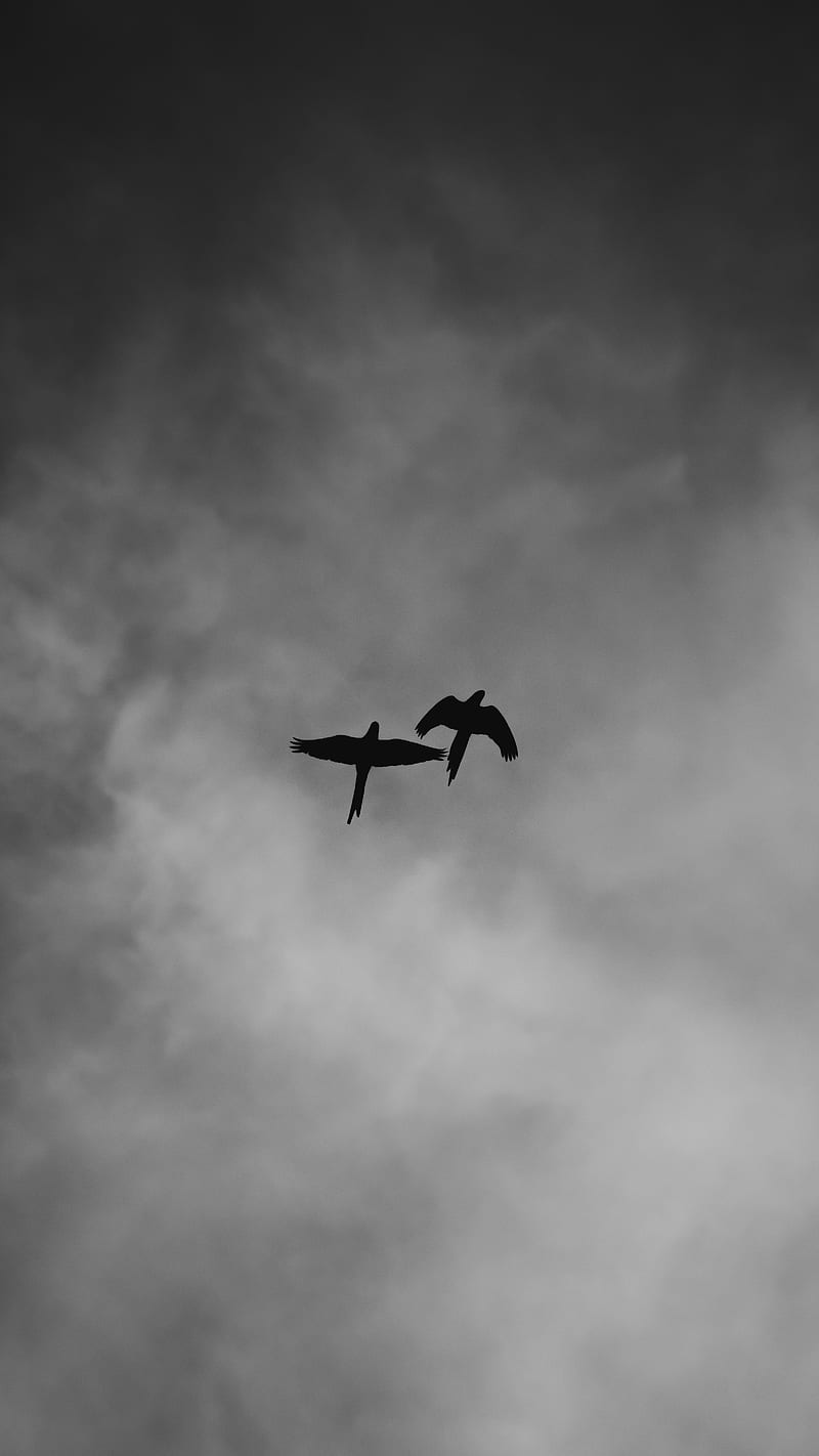 grayscale of airplane in mid air, HD phone wallpaper