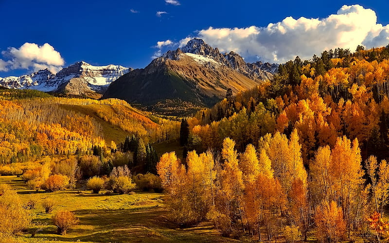 autumn, mountain landscape, mountains, forest, yellow trees, Colorado, USA, HD wallpaper