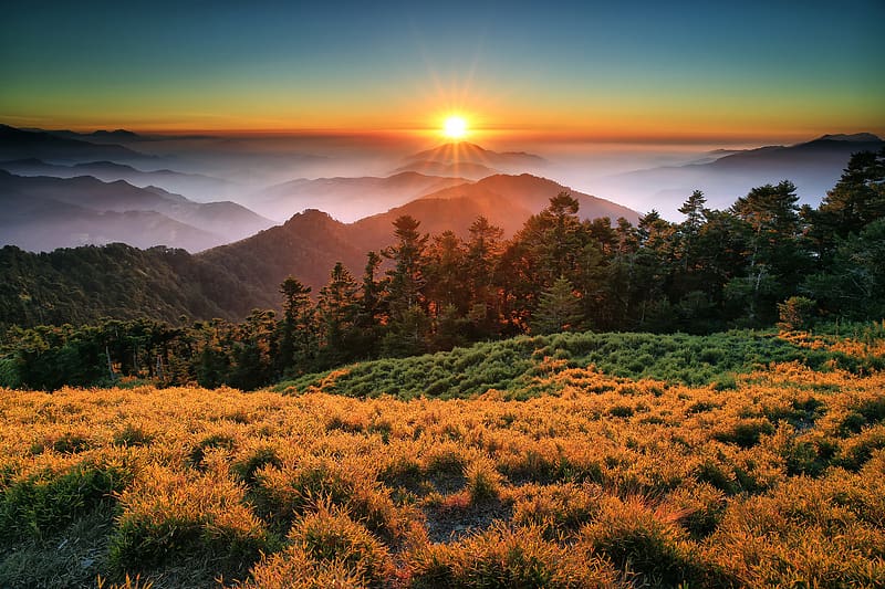 Landscape, Nature, Sunset, Mountain, Forest, Tree, Fog, , National Park, Taiwan, Sunbeam, Taroko National Park, HD wallpaper