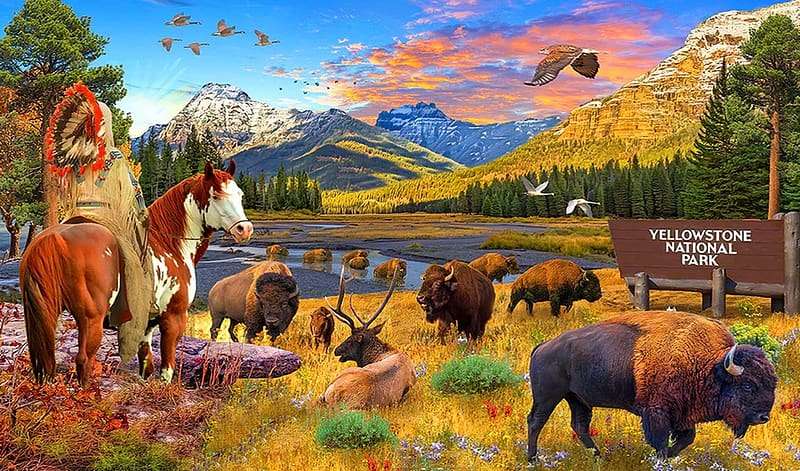 Indigenous Land, buffalo, native american, elk, horse, Chief, Scenic, HD wallpaper