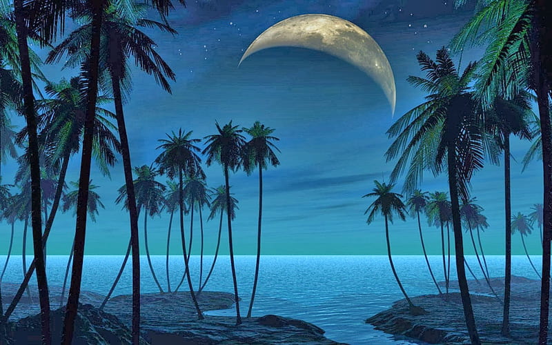 Night Moon Beach, beach, moom, nature, palm, trees, night, HD wallpaper ...