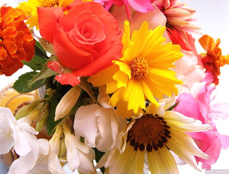 A GIFT FOR DEEJAI FROM MY HEART, daisies, friendship, flowers, posies, spring, faithfulness, roses, gifts, HD wallpaper