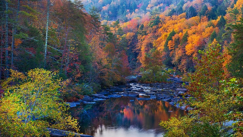 Obed Wilderness Tennessee, river, trees, landscape, autumn, usa, HD wallpaper