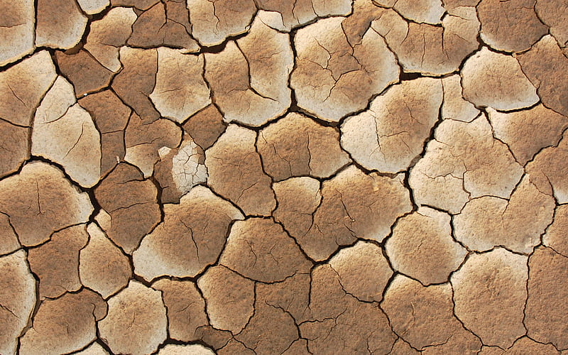 dried ground texture, ground in the cracks, natural textures, desert, drought concepts, ecology, dried ground, HD wallpaper